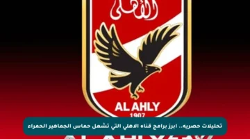 تحليلات حصرية.. أبرز برامج قناة الأهلي التي تشعل حماس الجماهير الحمراء